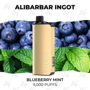 Alibarbar Ingot 9000 Puffs Blueberry Mint
