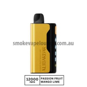Alibarbar Ice Adjust 12000 Puffs - Passion