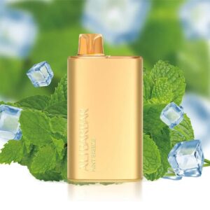 Alibarbar Rich Mint Breeze 8000 Puffs