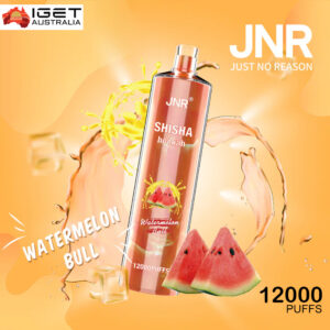 JNR SHISHA HOOKAH – WATERMELON BULL – 12000 PUFFS