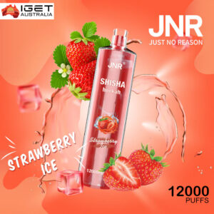 JNR SHISHA HOOKAH WATERMELON ICE  – 12000 PUFFS
