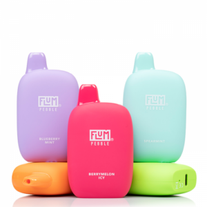 FLUM PEBBLE Rechargeable Disposable Vape 6000 puffs 5% Nic