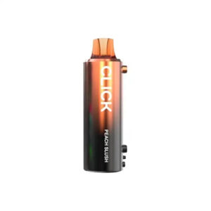 Pyne Pod Click 40K Disposable Vape Pod (5%, 40000 Puffs) – Peach Slush