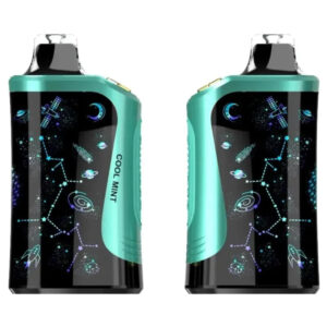 Rodman MVP 65K Ice Control Disposable Vape (5%, 65000 Puffs) – Cool Mint