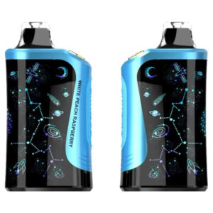 Rodman MVP 65K Ice Control Disposable Vape (5%, 65000 Puffs) – White Peach Raspberry