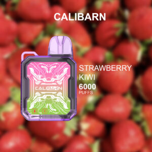 CALIBARN STRAWBERRY KIWI – 6000 PUFFS